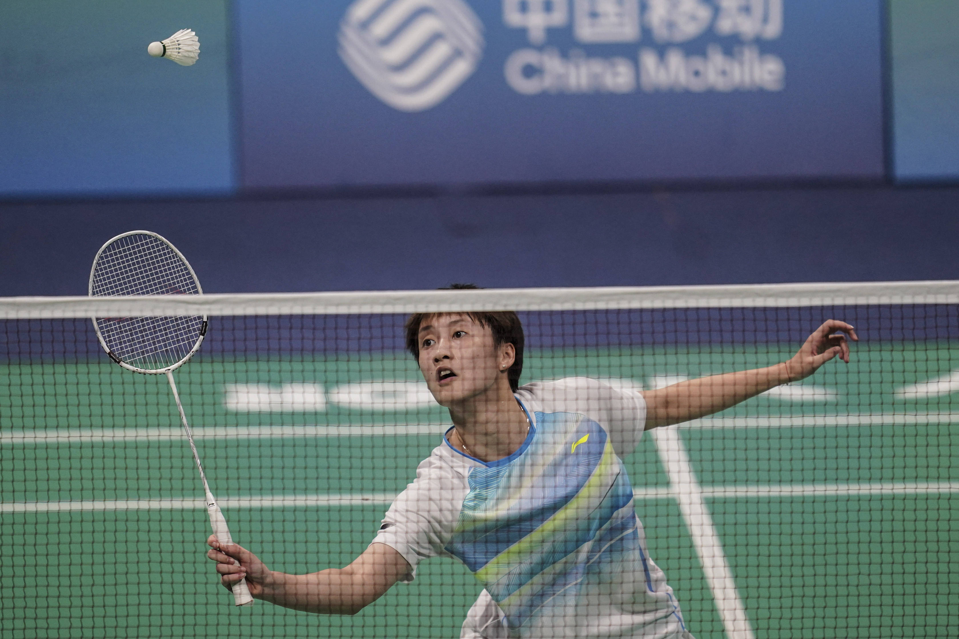 技能水平的 技能水平的